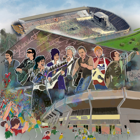 live music cork art print pairc ui caoimhe